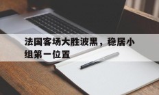 包含法国客场大胜波黑，稳居小组第一位置的词条