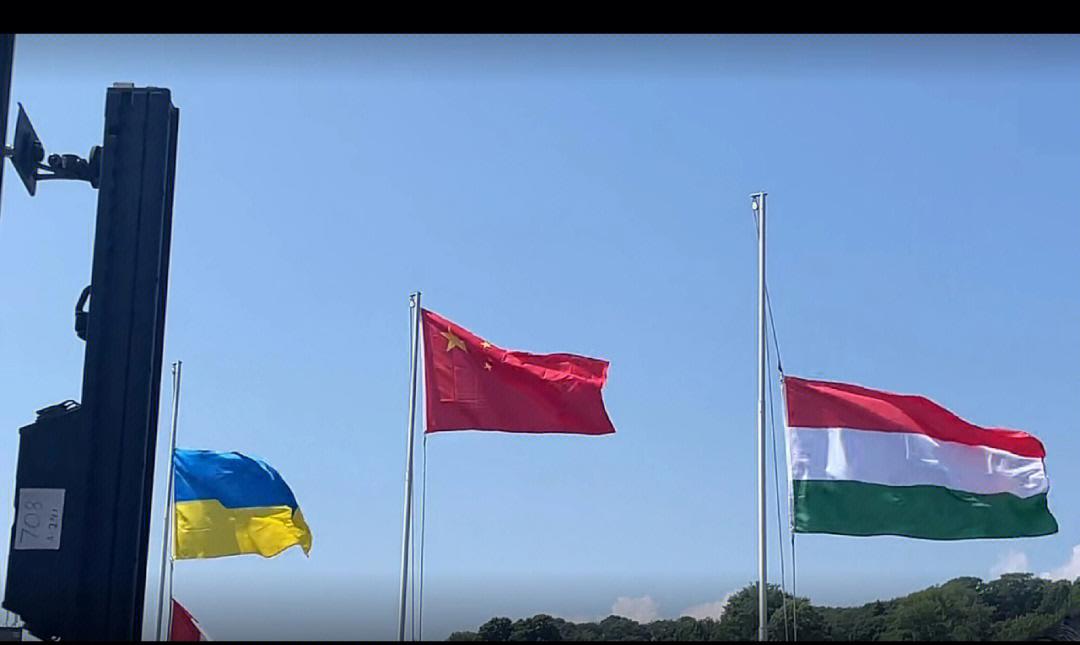 科维托娃重返赛场，反败为胜首场状态出色，加拿大队观众沸腾！